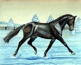 Dressage, Equine Art - Dancing in the Snow
